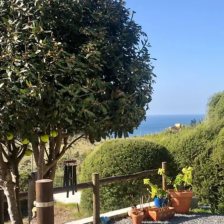 Casadameialuaarrifana